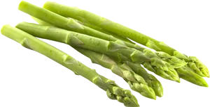 Fresh Green Asparagus Stalks.png PNG