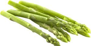 Fresh Green Asparagus Stalks
