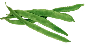 Fresh Green Beans Isolated PNG image