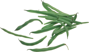 Fresh Green Beans Isolated PNG image