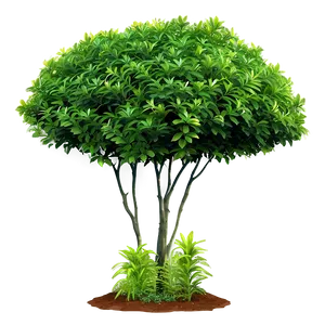 Fresh Green Bush Png 15 PNG image