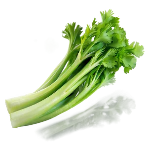 Fresh Green Celery PNG Fpn PNG