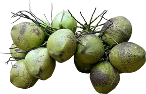 Fresh Green Coconuts Cluster.png PNG image