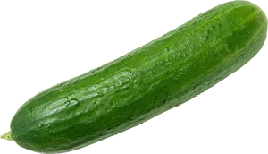 Fresh Green Cucumber.png PNG image