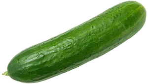 Fresh Green Cucumber.png PNG image