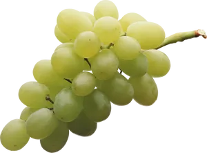 Fresh Green Grape Cluster.png