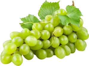 Fresh Green Grapes Cluster