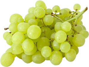 Fresh Green Grapes Cluster.png