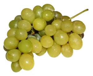 Fresh Green Grapes Cluster.png PNG image