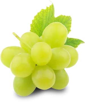 Fresh Green Grapes With Leaf.png