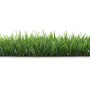 Fresh Green Grass PNG 38 PNG