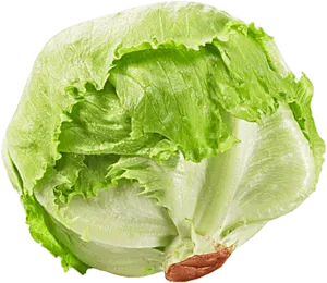 Fresh Green Iceberg Lettuce PNG image
