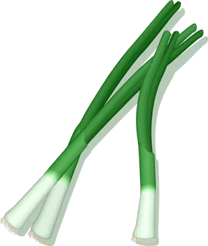 Fresh Green Leeks Illustration.png PNG image