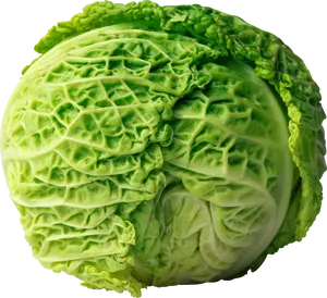 Fresh Green Lettuce Head PNG image