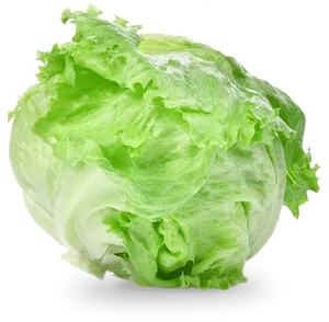 Fresh Green Lettuce Head.png PNG image