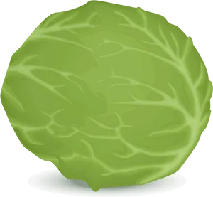 Fresh Green Lettuce Illustration PNG image