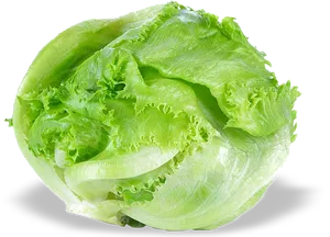 Fresh Green Lettuce Isolated PNG image
