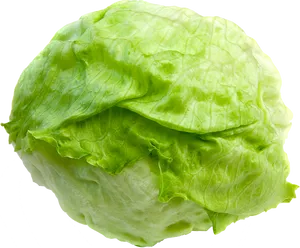 Fresh Green Lettuce Isolated.png PNG image