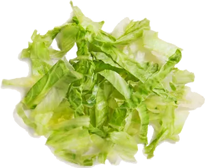 Fresh Green Lettuce Leaves PNG image