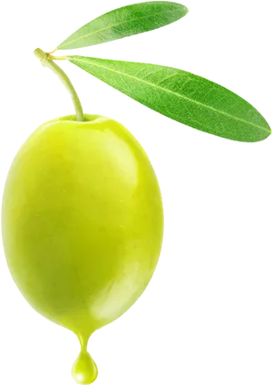 Fresh Green Olivewith Droplet PNG