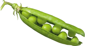 Fresh Green Pea Pod PNG image