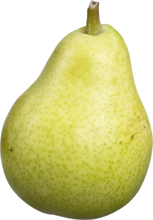 Fresh Green Pear Isolated.png PNG image