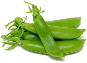 Fresh Green Peas Pods PNG image