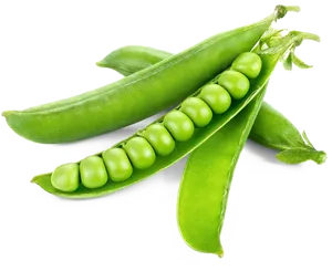 Fresh Green Peas Pods