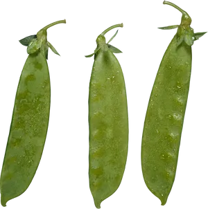Fresh Green Peas Pods Water Droplets PNG image