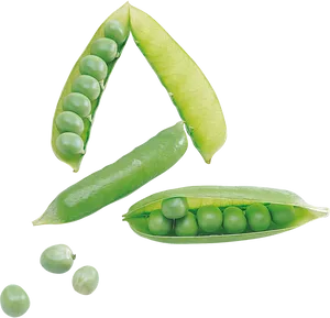 Fresh Green Peas Pods PNG image