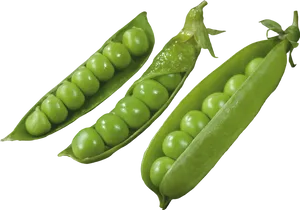 Fresh Green Peasin Pods PNG image