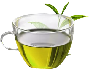 Fresh Green Teain Glass Cup PNG image