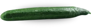 Fresh Green Zucchini Vegetable PNG image