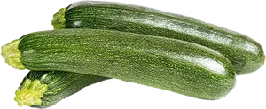 Fresh Green Zucchini Vegetables PNG