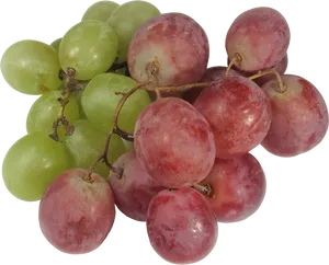 Fresh Greenand Red Grapes