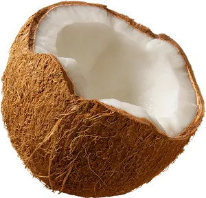 Fresh Half Coconut Transparent Background