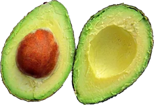 Fresh Halved Avocado PNG image