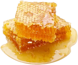 Fresh Honeycomb Piece Dripping Honey PNG image