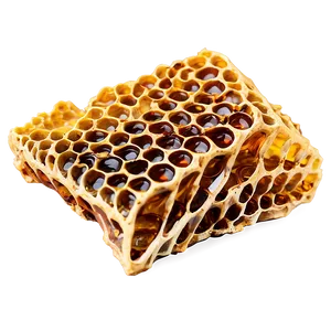 Fresh Honeycomb Piece PNG 05232024
