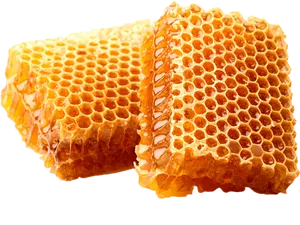 Fresh Honeycomb Pieces PNG image