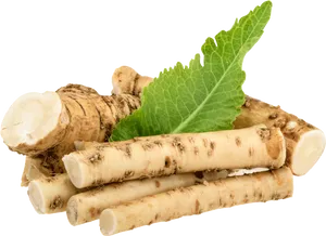 Fresh Horseradish Rootsand Leaf PNG image