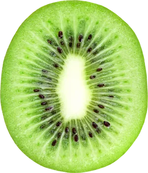 Fresh Kiwi Slice Closeup.png PNG image