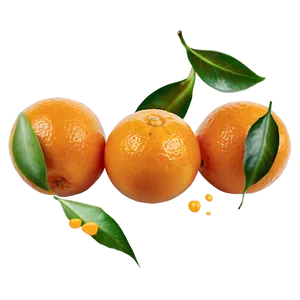 Fresh Kumquat Png 91 PNG image