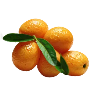 Fresh Kumquat Png Jpn65 PNG image