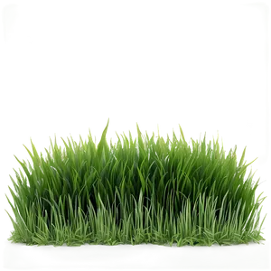 Fresh Lawn Grass Png 04292024 PNG image