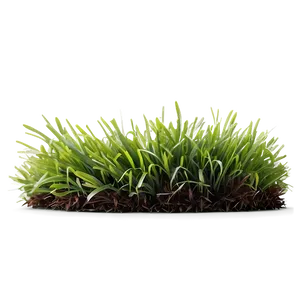 Fresh Lawn Grass Png 32 PNG image