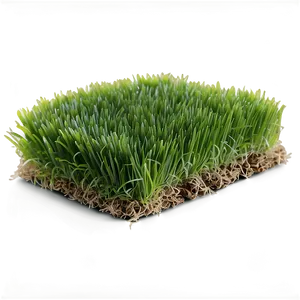 Fresh Lawn Grass Png Ocn PNG image