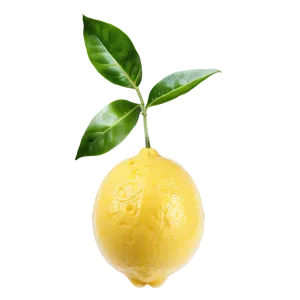 Fresh Lemon PNG Ppo
