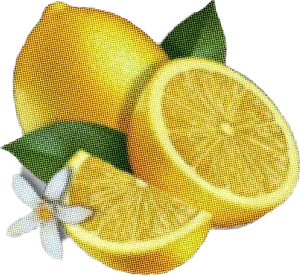 Fresh Lemonand Slice Illustration PNG image
