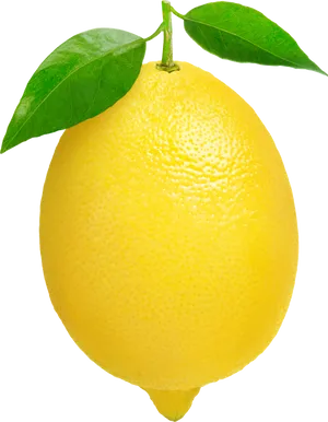 Fresh Lemonwith Leaves
